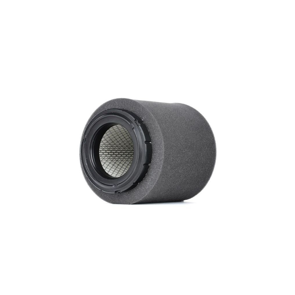 Повітряний фільтр для автомобіля ASHIKA 20-09-917 - зображення 1