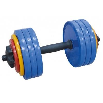 Гантель InterAtletika 20кг Color (СТ 531.20) - зображення 1