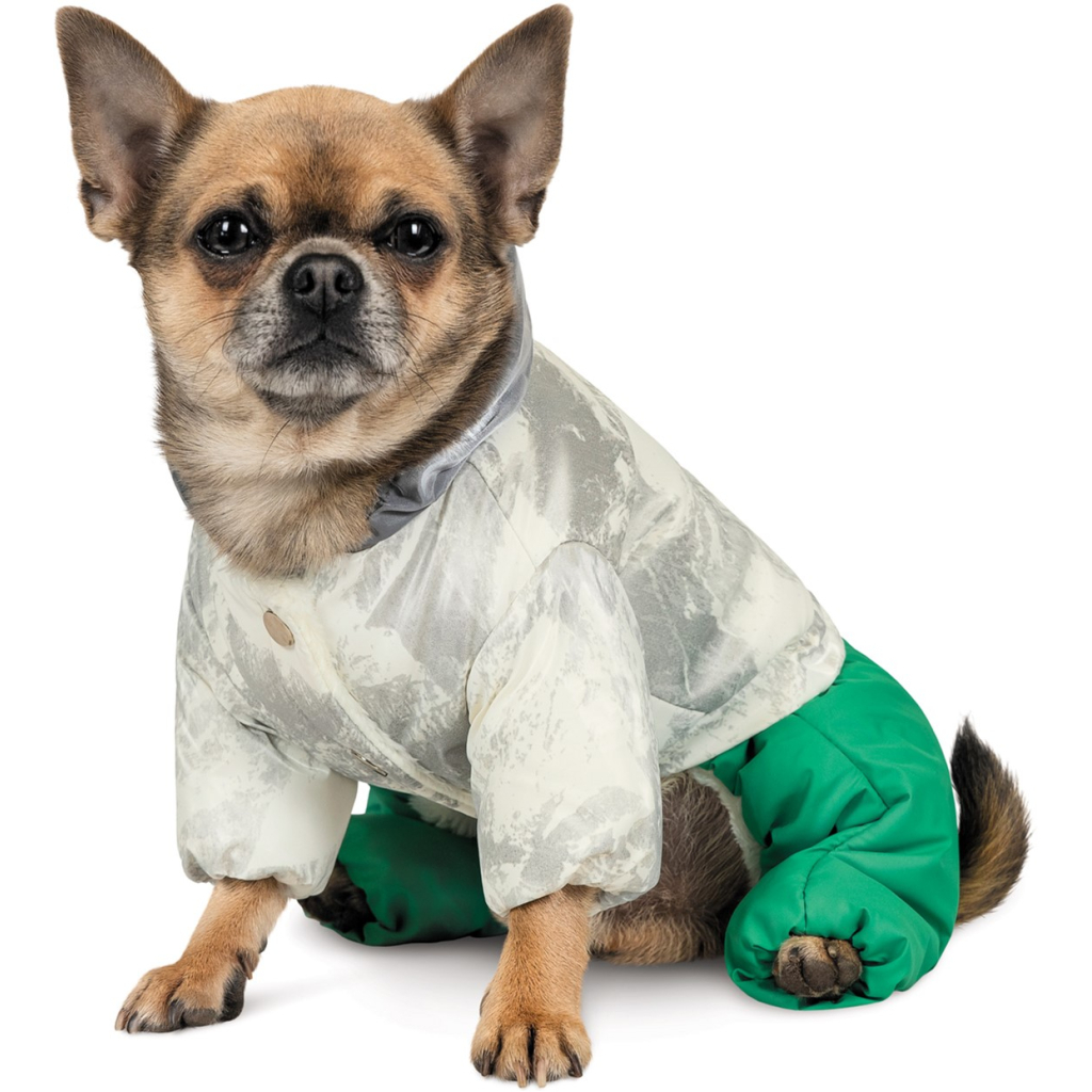 Костюм для тварин Pet Fashion Pf Style S (4823082427956) - зображення 5
