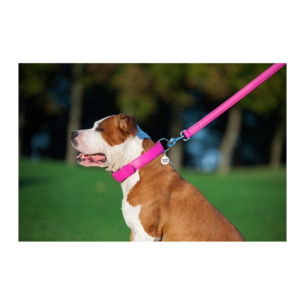 Повідець для собак WAUDOG Glamour шкіряний M-XXL рожевий (33767) - зображення 7