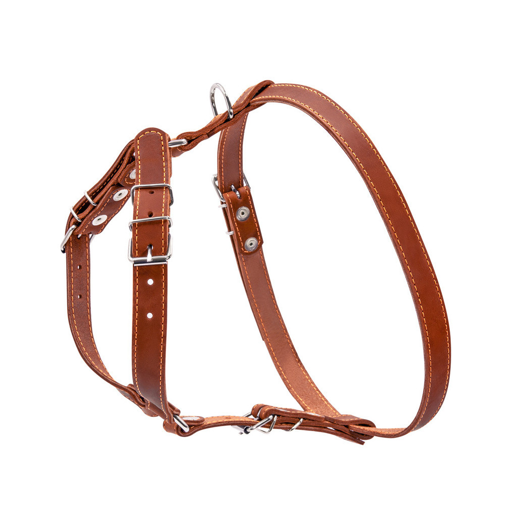 Шлея для собак Collar одинарна для малих та середніх порід Ш 20 мм А:40-56 см В:57-65 см коричнева (06366) - зображення 2
