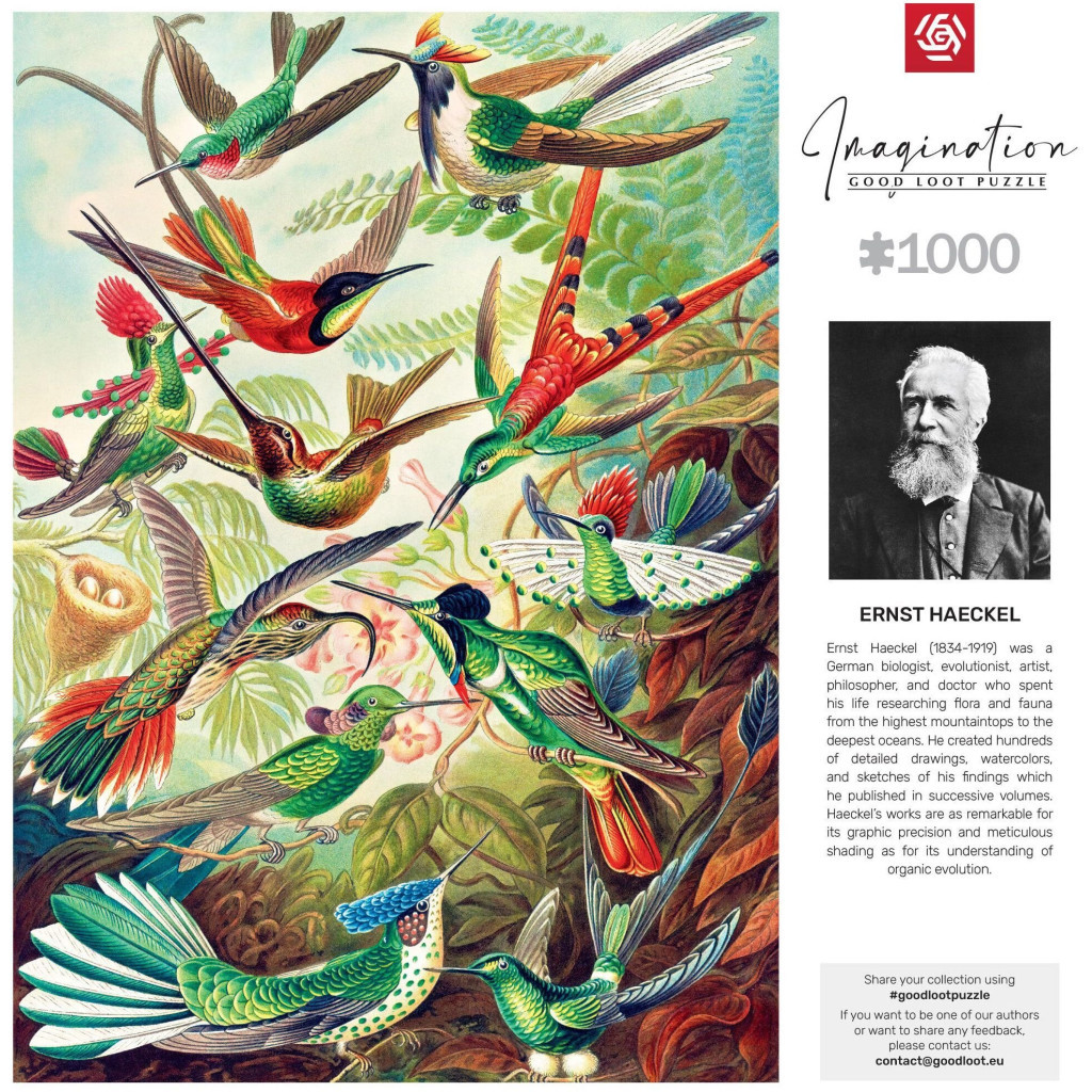 Пазл GoodLoot Imagination: Ernst Haeckel Hummingbirds/Kolibry 1000 елементів (5908305246794) - изображение 5