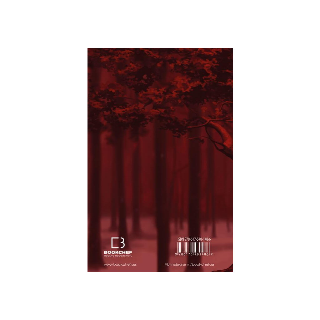 Книга Кров і попіл: Із крові й попелу (Подарункове видання) - Дженніфер Л. Арментраут BookChef (9786175481486) - зображення 3