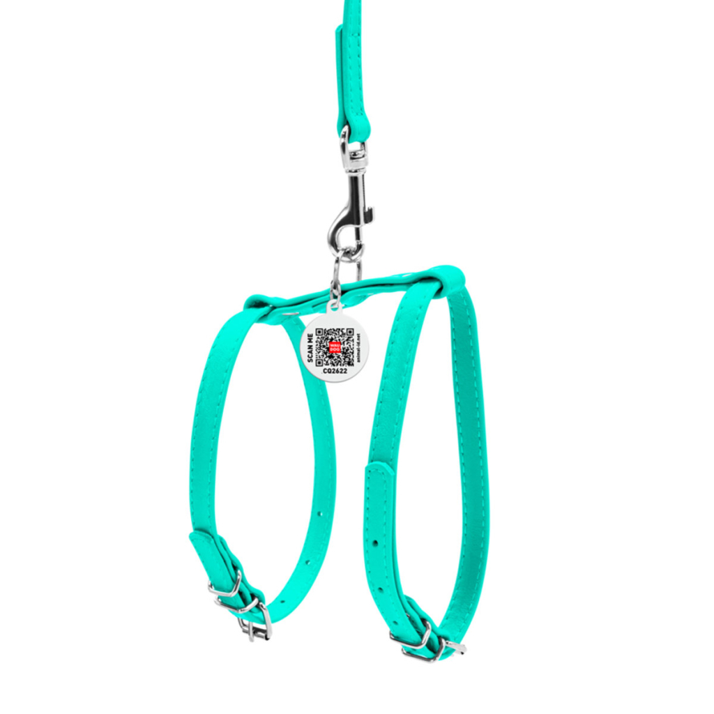 Шлея для собак WAUDOG Glamour з повідцем шкіряна Ш 9 мм А 20-30 см В 30-40 см ментолова (339913) - зображення 2