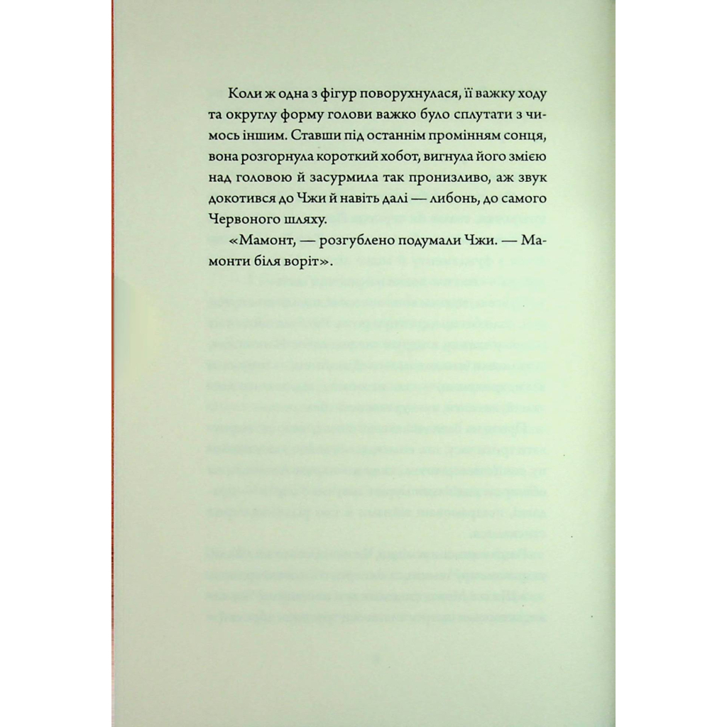 Книга Співучі Узгіря. Мамонти біля воріт. Книга 4 - Нґі Во Жорж (9786178287900) - зображення 7