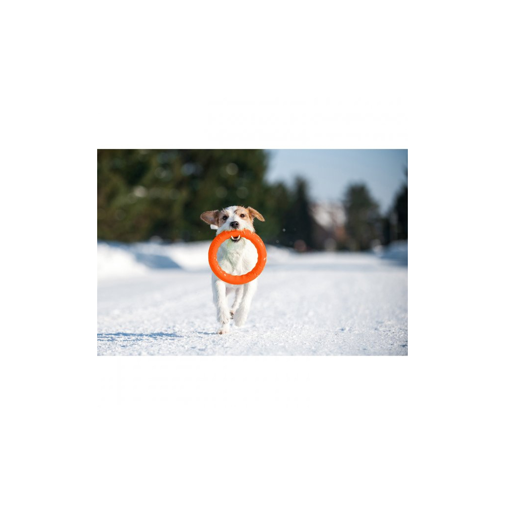 Іграшка для собак Collar PitchDog Кільце для апортування 28 см помаранчеве (62384) - зображення 8