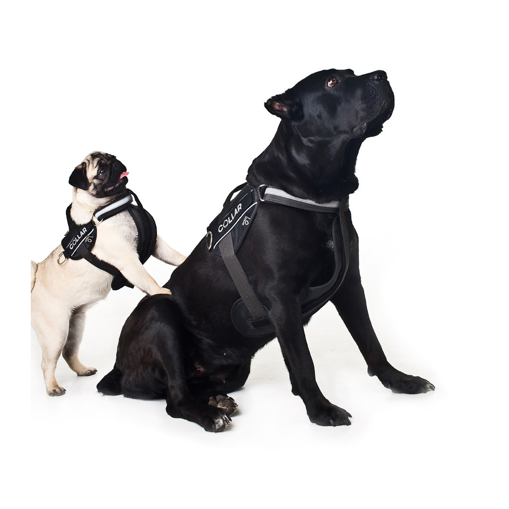 Шлея для собак Dog Extreme Police N2 40-60 см чорна (07051) - зображення 5