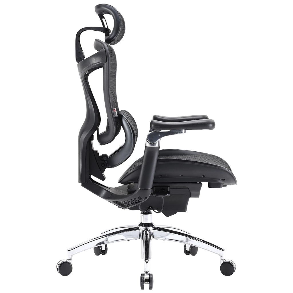 Офісне крісло Sihoo DORO C300 Pro Mesh Black (DORO-C300-PRO-M101) - picture 5