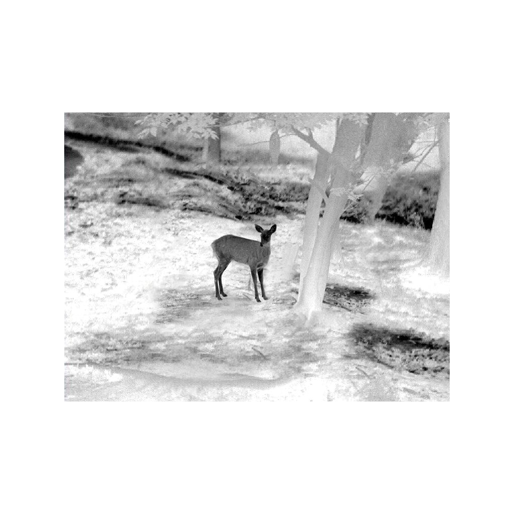 Тепловізійний приціл Guide TU450 3,2-12,8x50 400x30017m VOx (TU450) - зображення 3