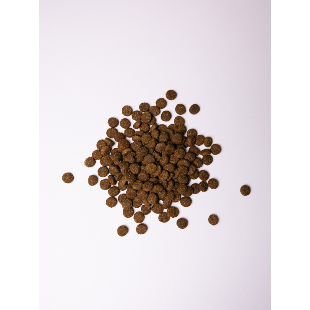 Сухий корм для собак Savory Junior Large rich in Fresh Turkey and Chicken 12 кг (4820232630211) - зображення 4