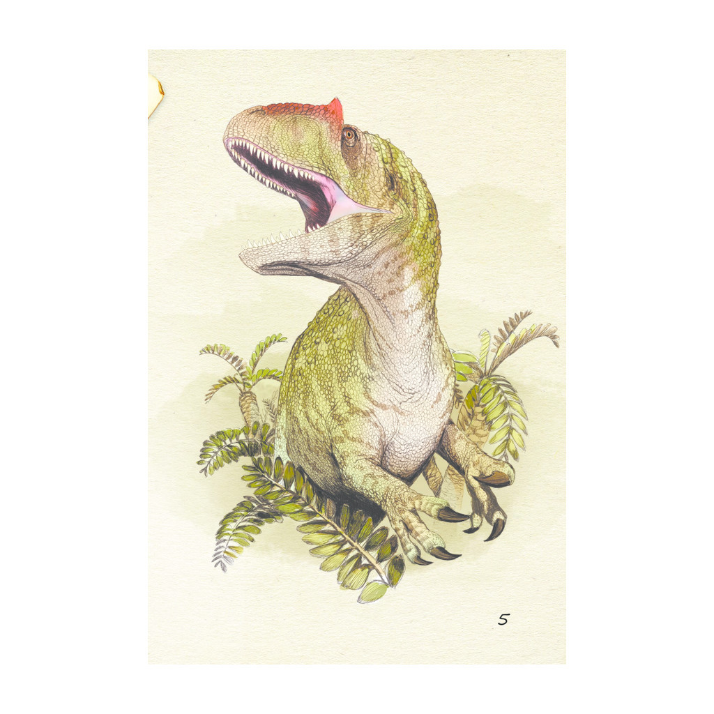 Книга Юрський період: Динозаври та інші давні тварини - Хуан Карлос Алонсо КСД (9786171281035) - зображення 4