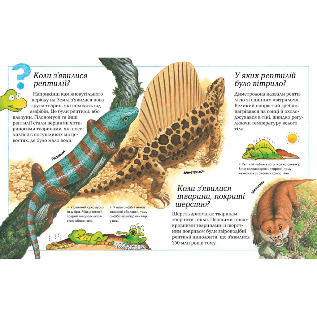 Книга Де, що і коли? Видавництво РМ (9789669172365) - зображення 3