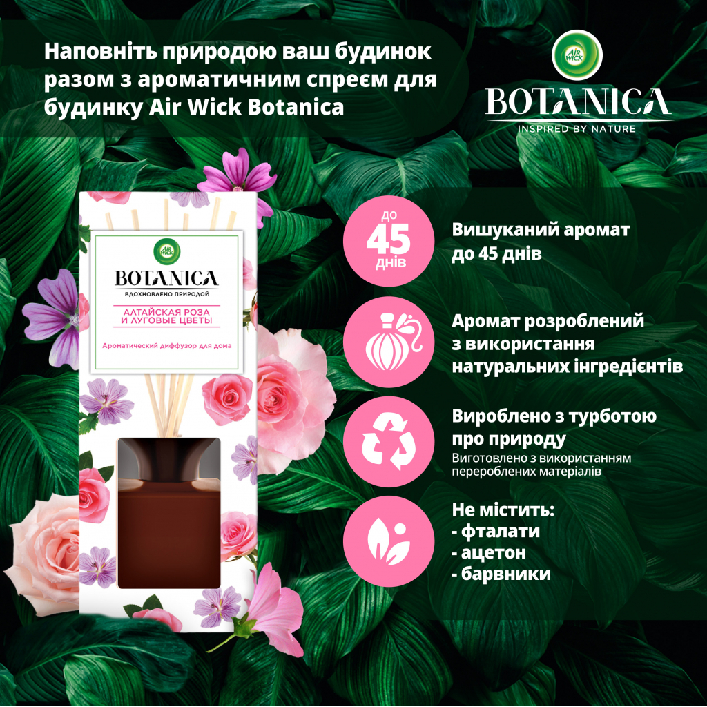 Аромадифузор Air Wick Botanica Алтайська троянда та лугові квіти 80 мл (4640018993695) - изображение 3