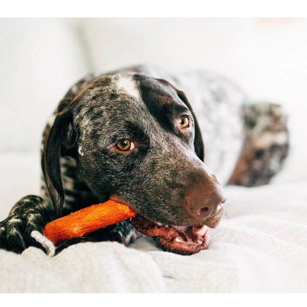 Іграшка для собак Petstages Mesquite Dogwood Гілка (з ароматом барбекю) 13.5 см (0700603301435) - зображення 3