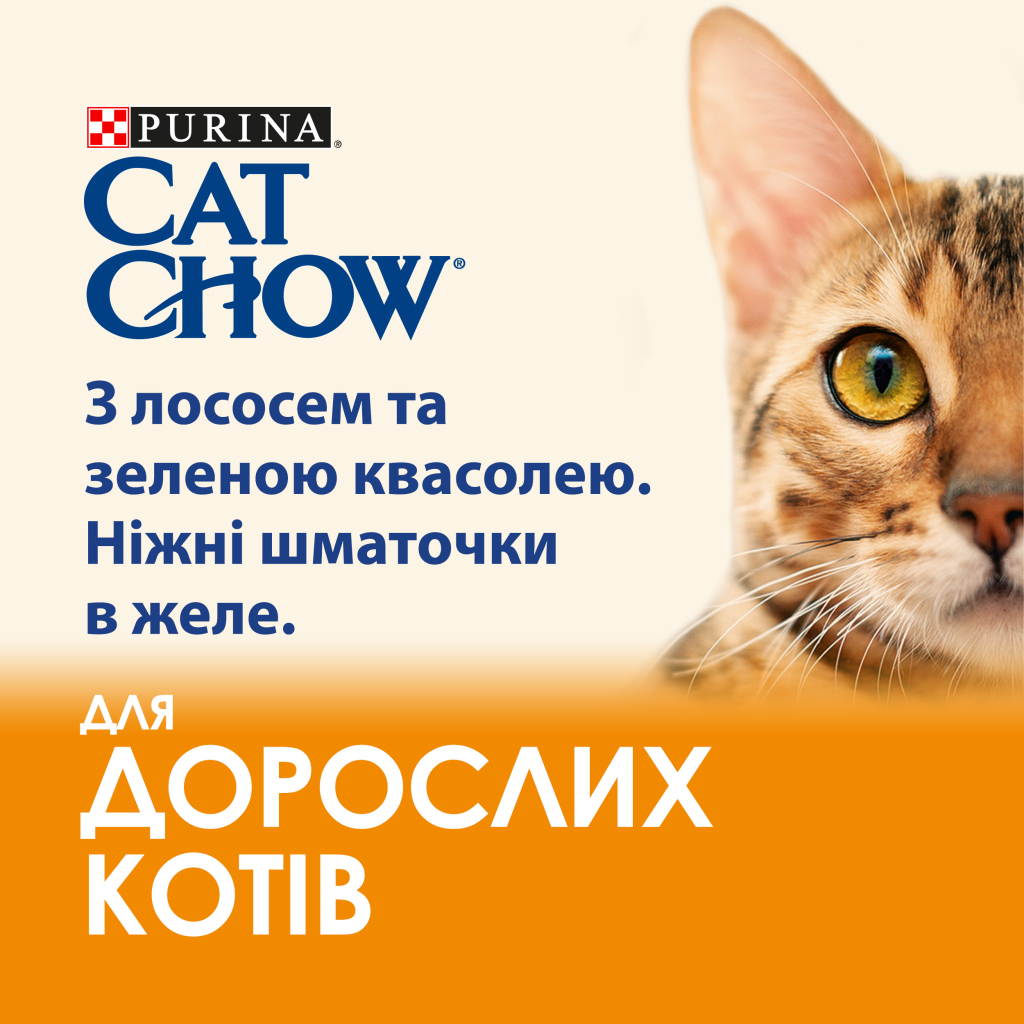 Вологий корм для кішок Purina Cat Chow Adult з лососем і зеленою квасолею 85 гх10 шт (7613036596039) - зображення 4