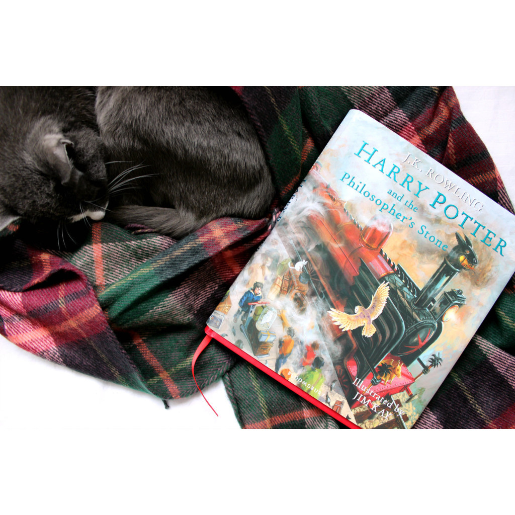 Книга Harry Potter and the Philosopher's Stone - J.K. Rowling Bloomsbury (9781408845646) - зображення 11