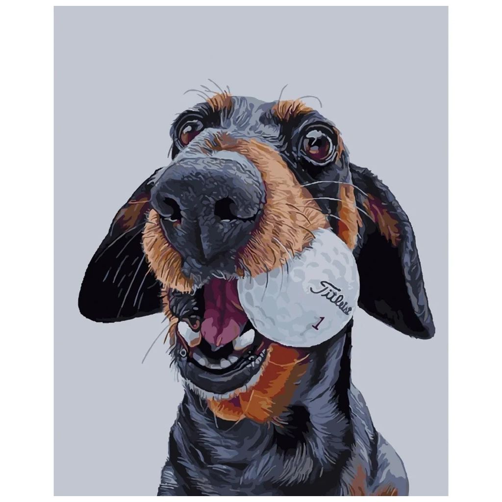 Картина по номерам Strateg Пес-бейсболіст 40х50 см (SY6127) - зображення 1