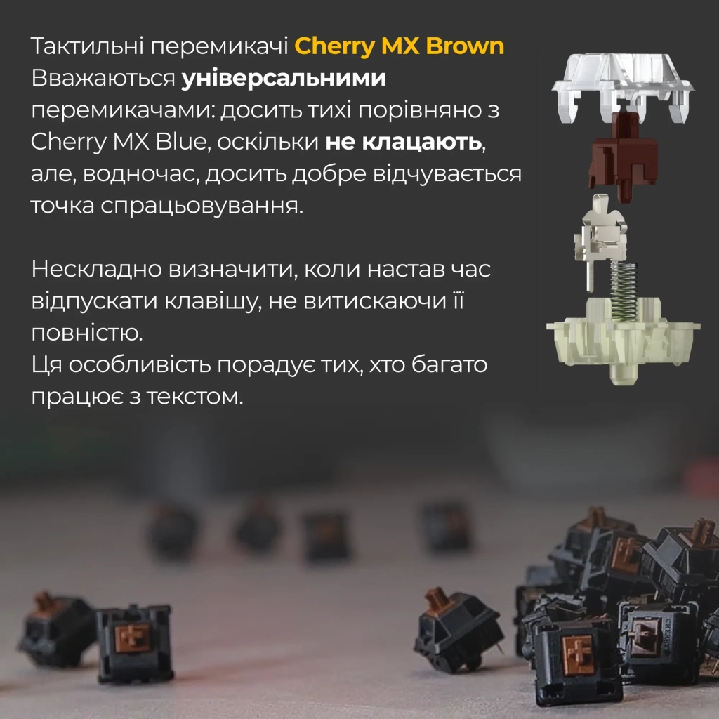 Клавіатура Ducky One 3 Cherry MX Brown RGB UA USB White (DKON2108ST-BUAPXPWWWSC1) - зображення 5