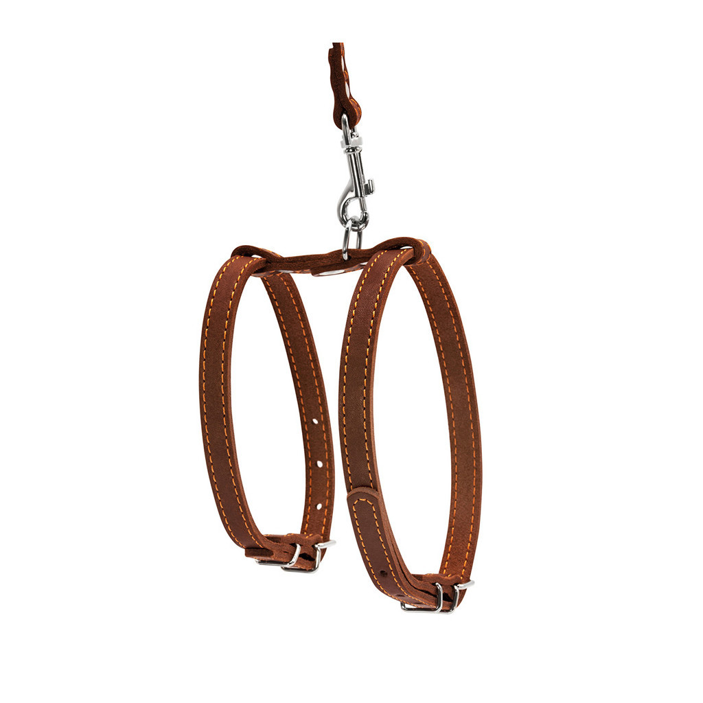 Шлея для собак Collar з повідцем для малих порід Ш 14 мм Д 122 см коричнева (05476) - зображення 2