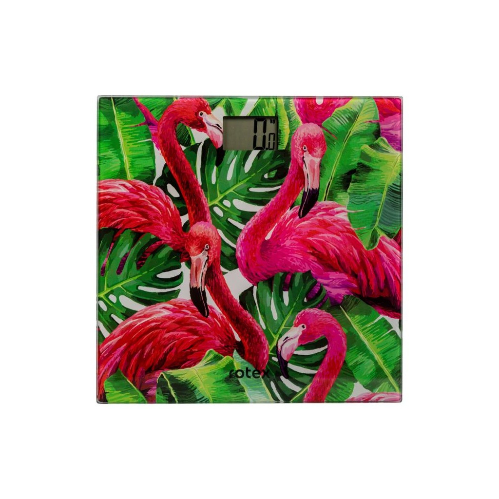 Ваги підлогові Rotex RSB06-P - зображення 1