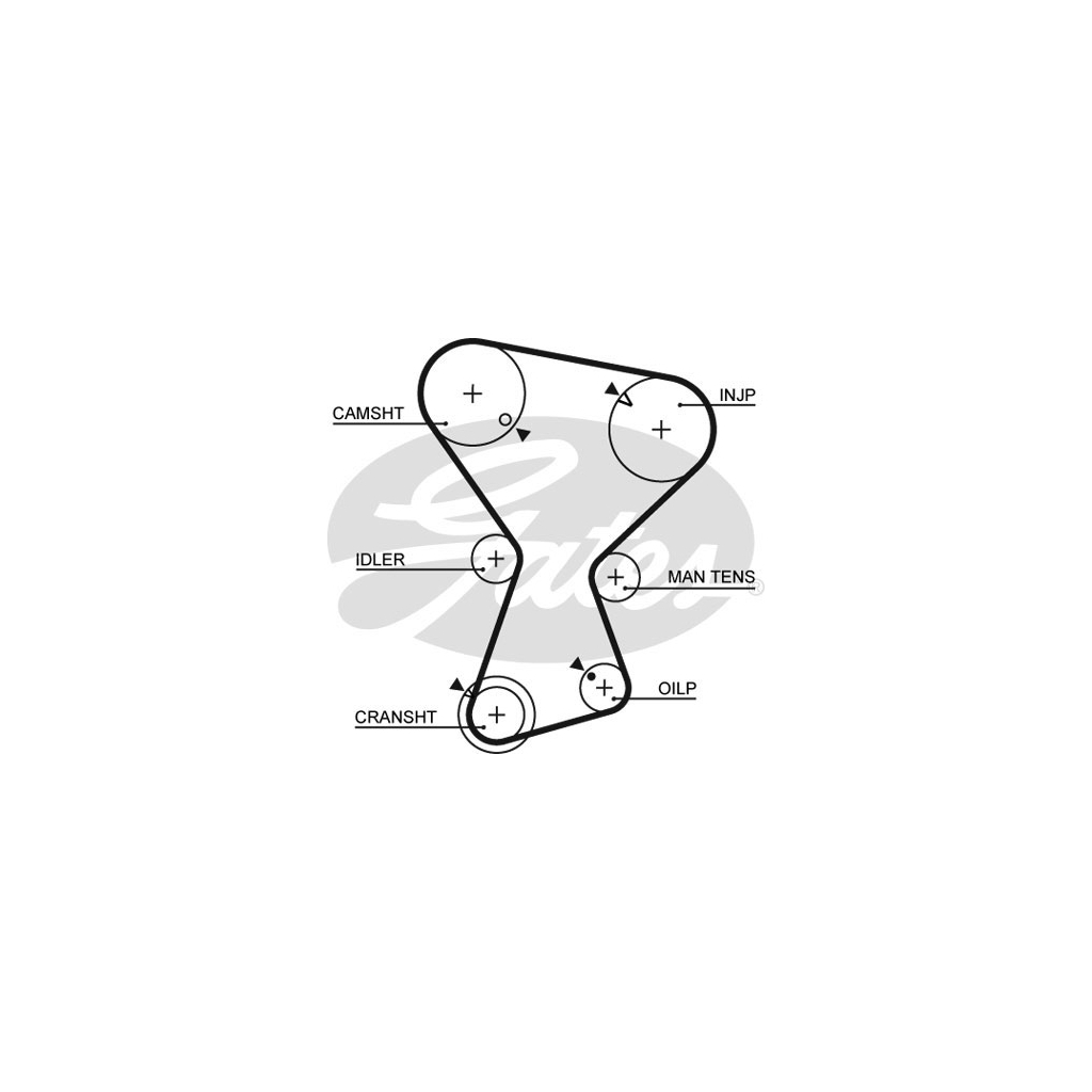 Ремінь ГРМ Gates 5072 - зображення 1