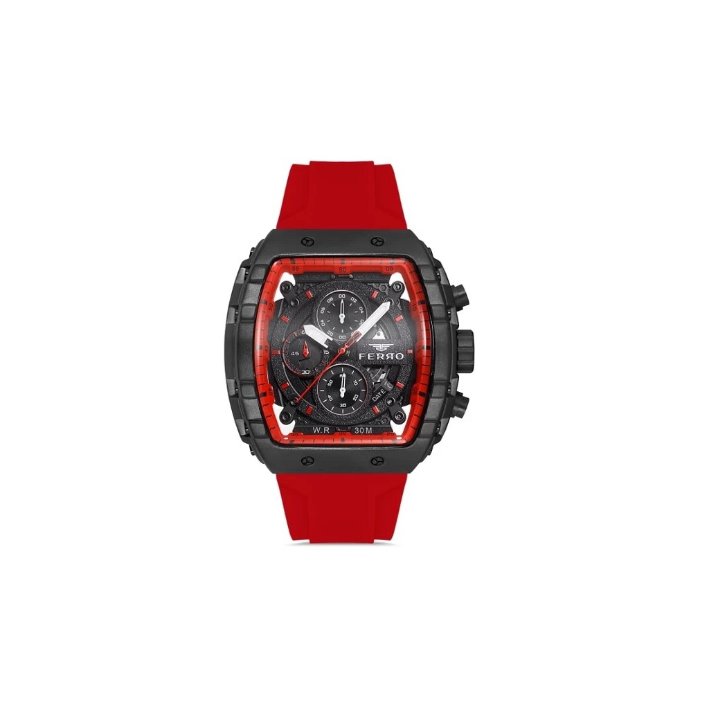 Наручний годинник Ferro FM11001D-G2 - зображення 1