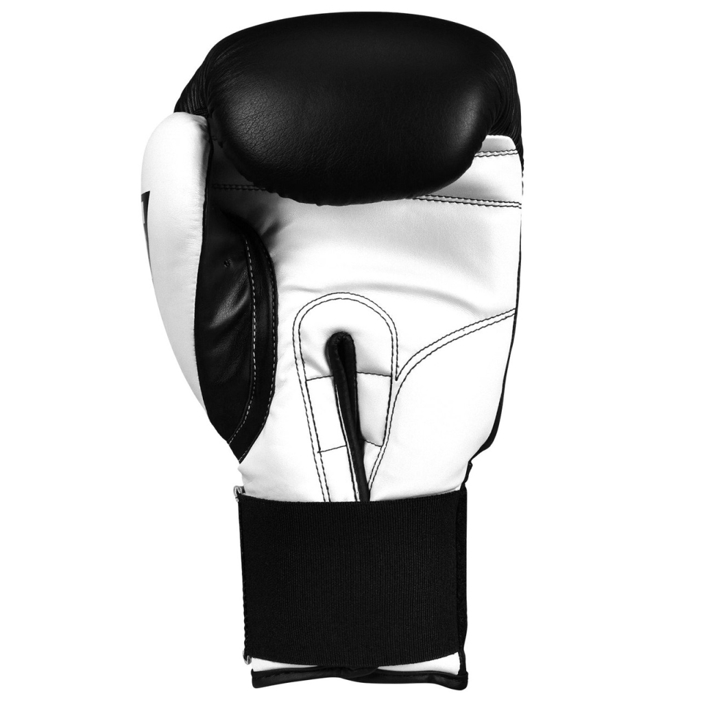 Боксерські рукавички Title Boxing Dynamic Strike Black/White 12 oz (XDBG 12 BK/WH) - зображення 7
