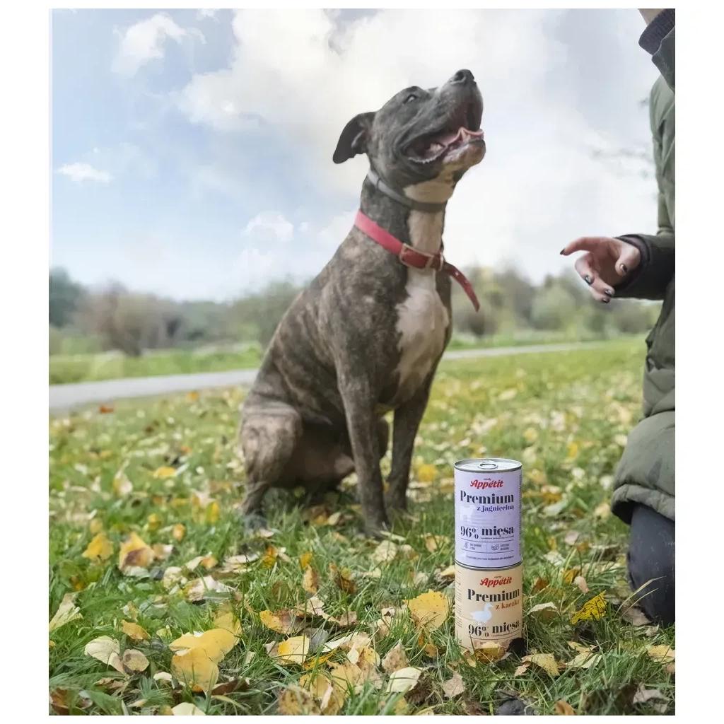 Консерви для собак Comfy Appetit Premium з ягням 400 г (5905546340595) - зображення 4