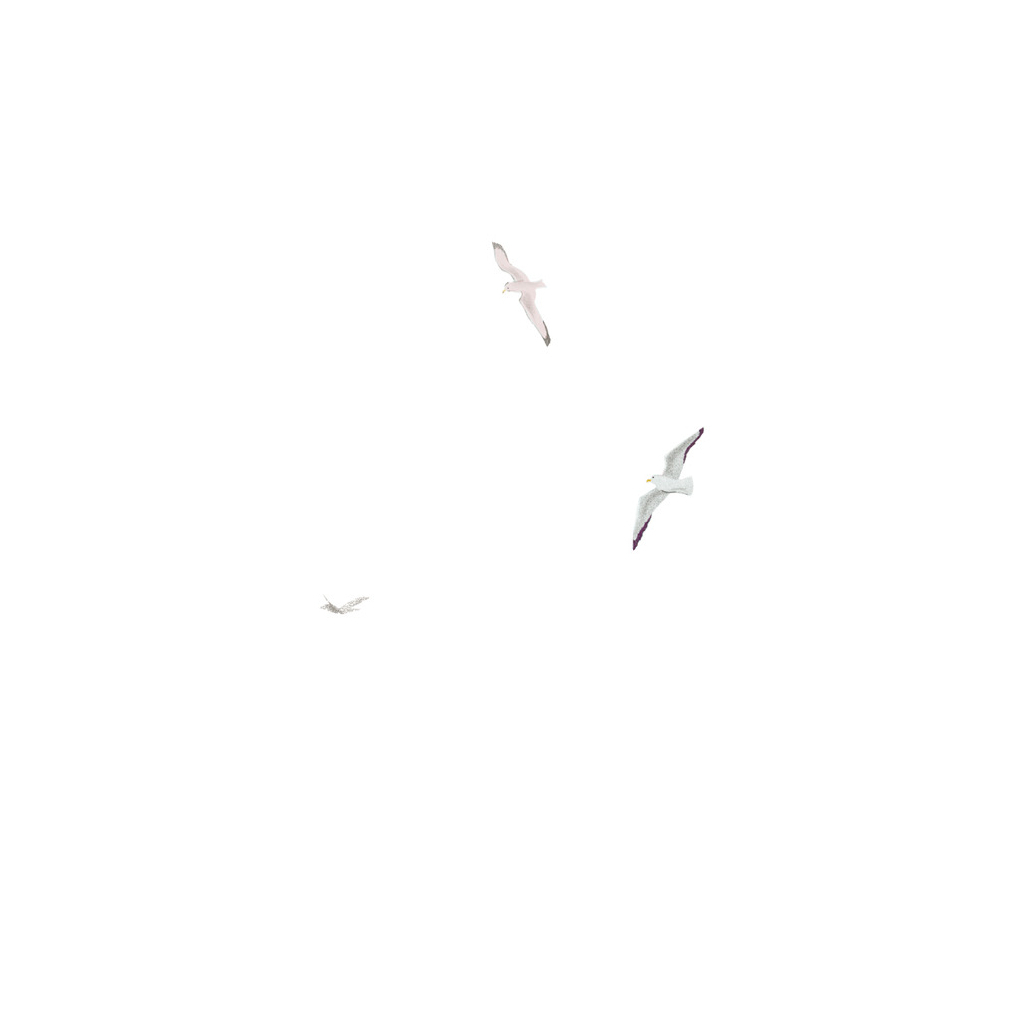 Книга Листи з пошти на маяку - Таня Поставна #книголав (9786177820795) - зображення 5