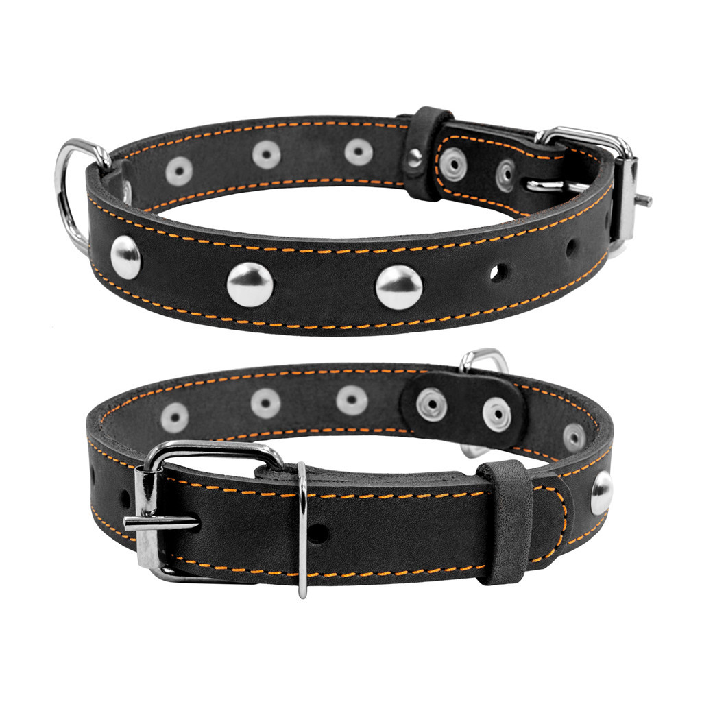 Нашийник для тварин Collar одинарний з прикрасами Ш 25 мм Д 38-50 см чорний (02231) - зображення 1