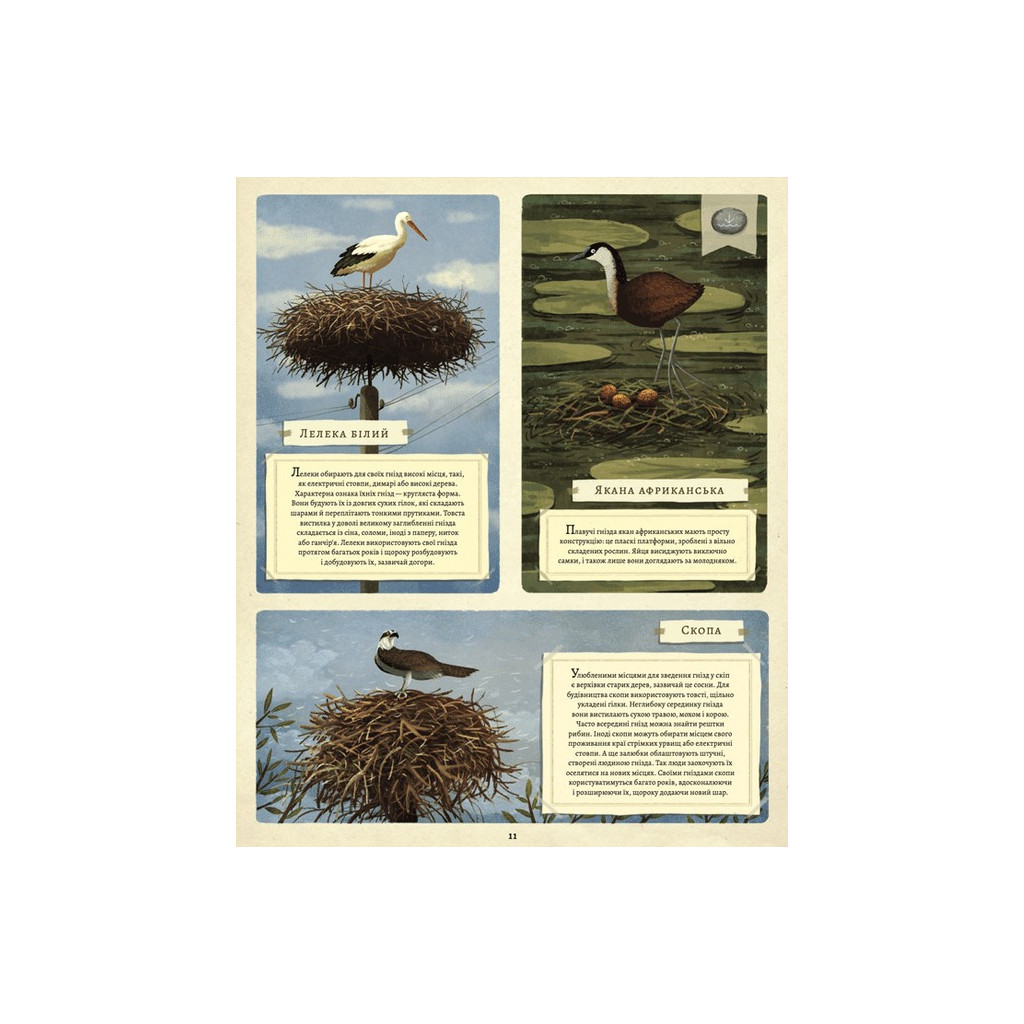 Книга Що будують звірята? - Емілія Дзюбак Видавництво Старого Лева (9789664481271) - зображення 9