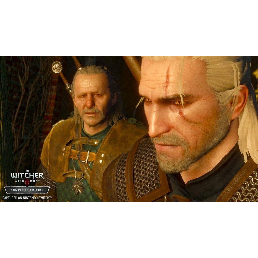 Гра Nintendo Switch The Witcher 3: Wild Hunt (1186876) - зображення 5