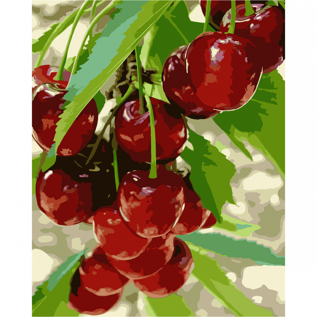 Картина по номерам Santi Солодка черешня 40х50 см (954800) - зображення 1