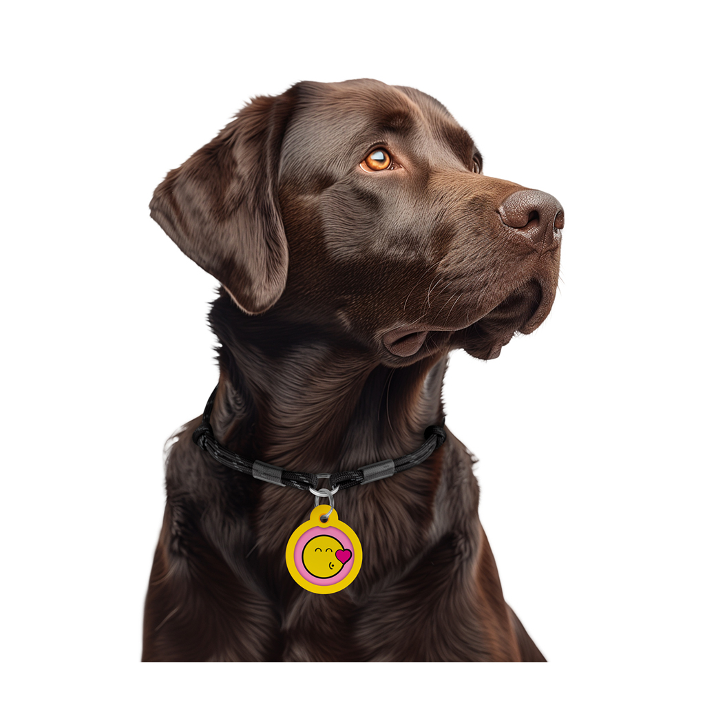 Адресник для тварин WAUDOG Smart ID з QR паспортом "Смайли на рожевому", коло 30 мм (230-0187) - изображение 6