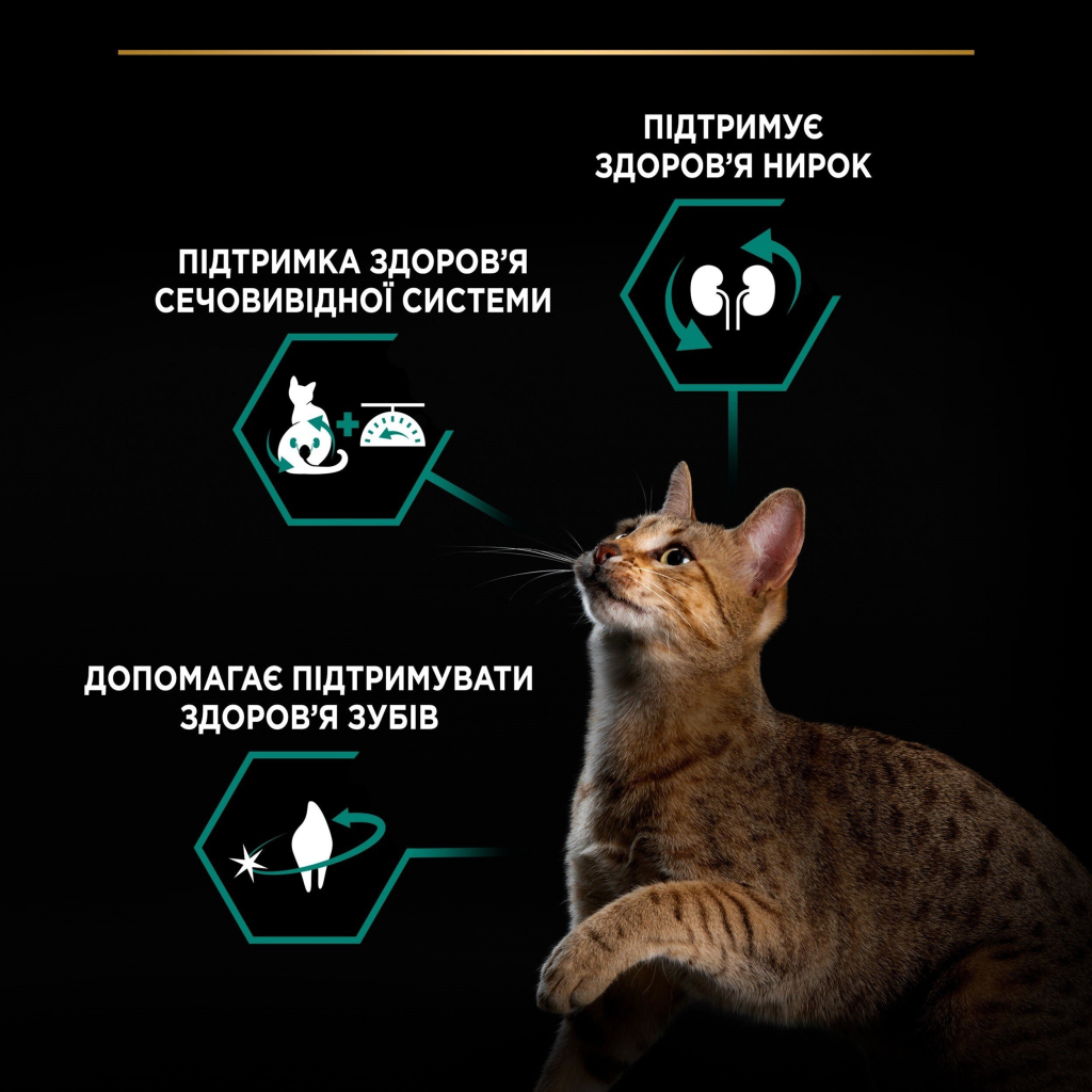 Сухий корм для кішок Purina Pro Plan Sterilised Adult 1+ Renal Plus Для дорослих стерилізованих З лососем 14 кг (7613287887597) - зображення 4
