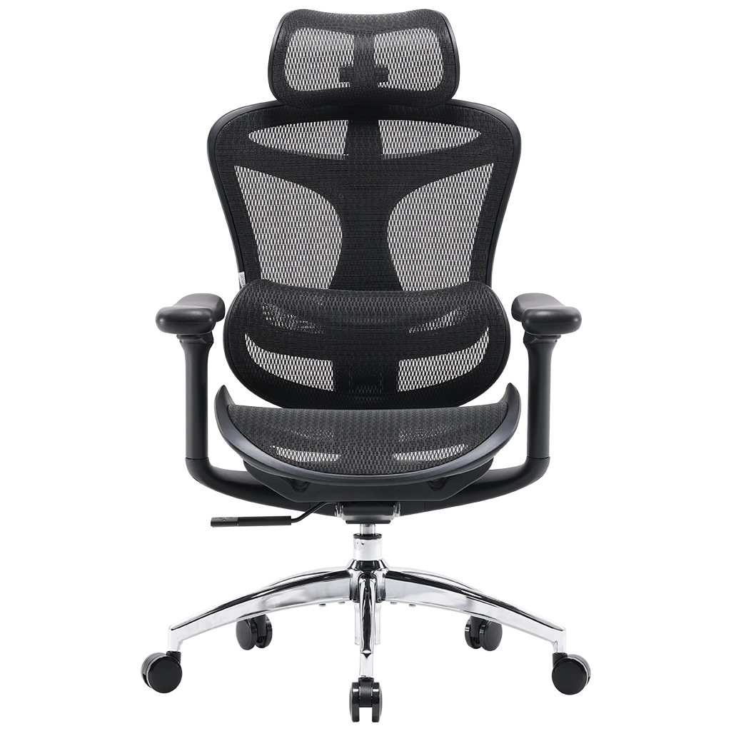 Офісне крісло Sihoo DORO C300L Mesh Black (DORO-C300L-A3-101) - зображення 2