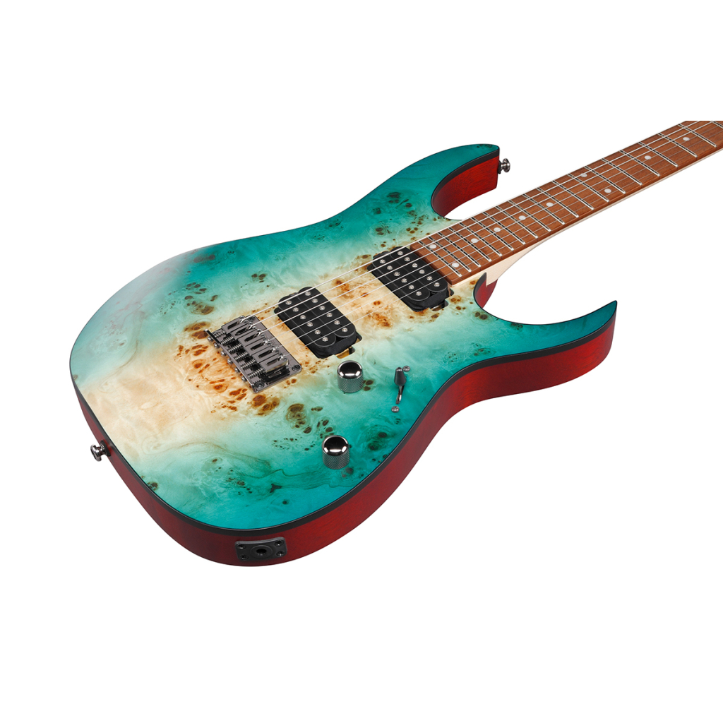 Електрогітара Ibanez RG421PB CHF (230535) - изображение 4