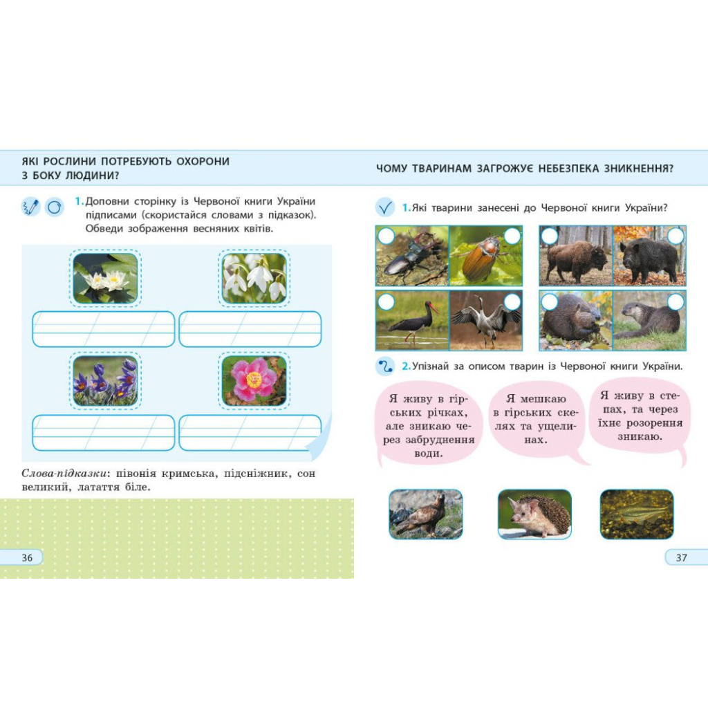 Робочий зошит НУШ ДИДАКТА. Я досліджую світ. 2 клас. У 2-х частинах. Частина 2 - А.О. Пуляєва Ранок (9786170974044) - зображення 4