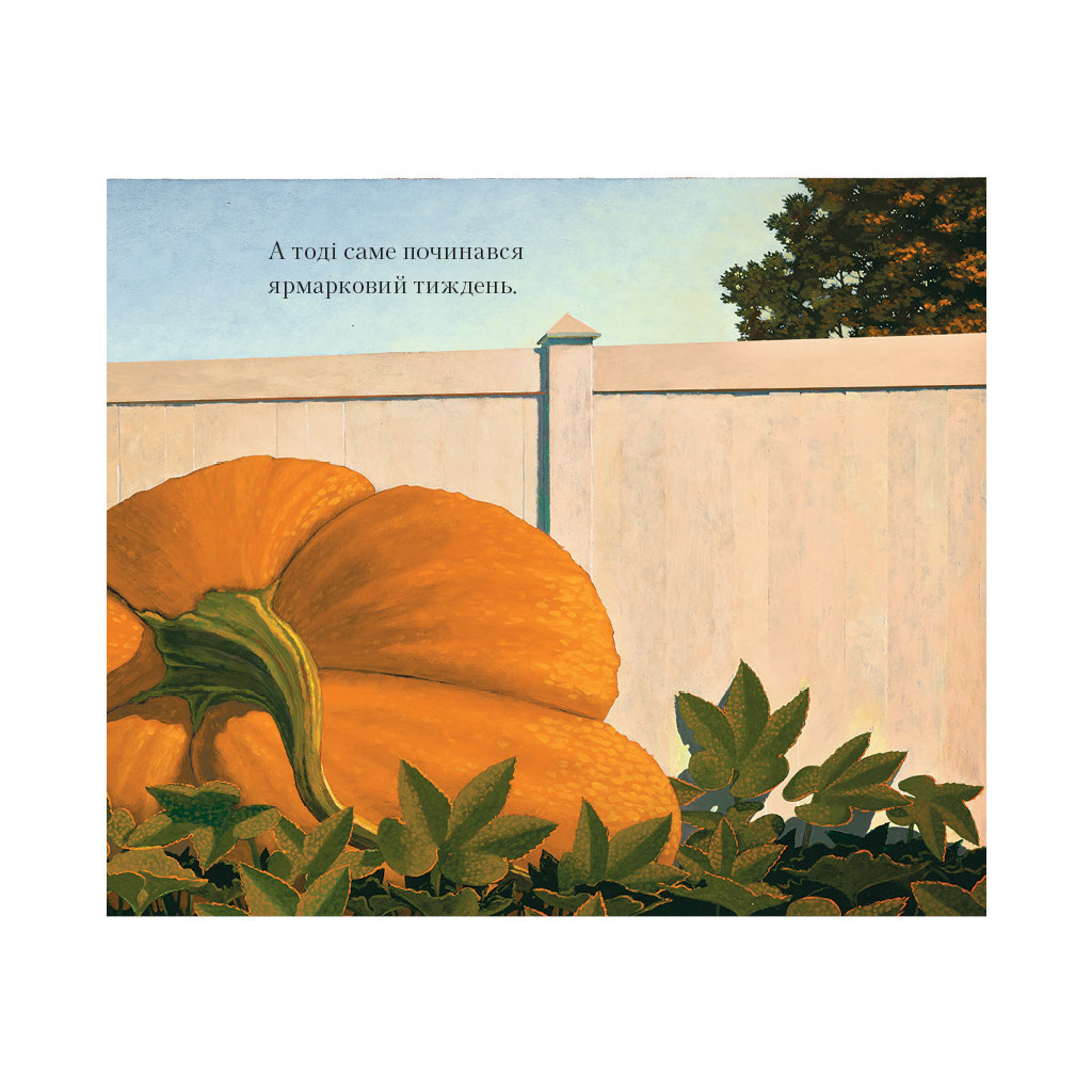 Книга Лис Тимко та його сад - Браян Ліс А-ба-ба-га-ла-ма-га (9786175851715) - зображення 4