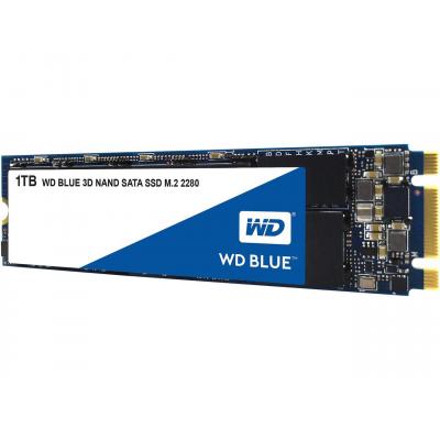 Накопичувач SSD M.2 2280 1TB WD (WDS100T2B0B) - зображення 2