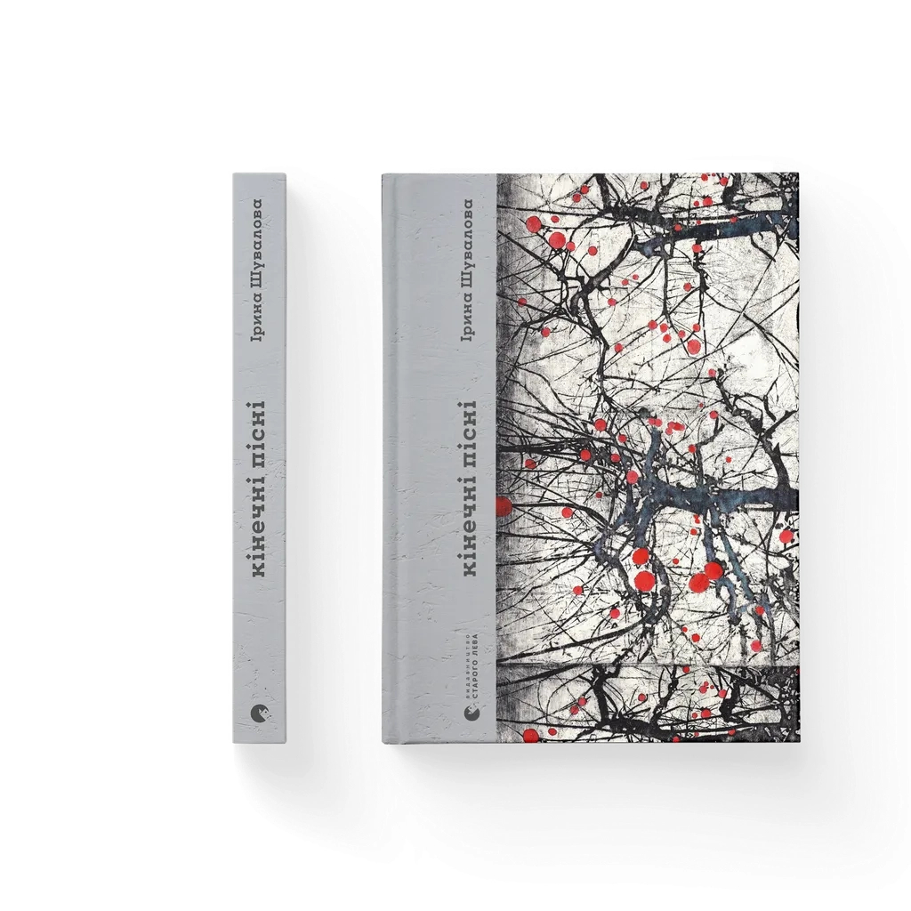 Книга Кінечні пісні - Ірина Шувалова Видавництво Старого Лева (9789664482964) - зображення 1