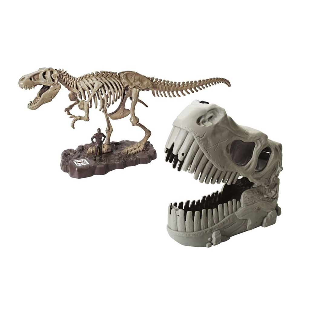 Конструктор Dino Valley "Діно" скелет Ті-Рекса (542409) - зображення 3