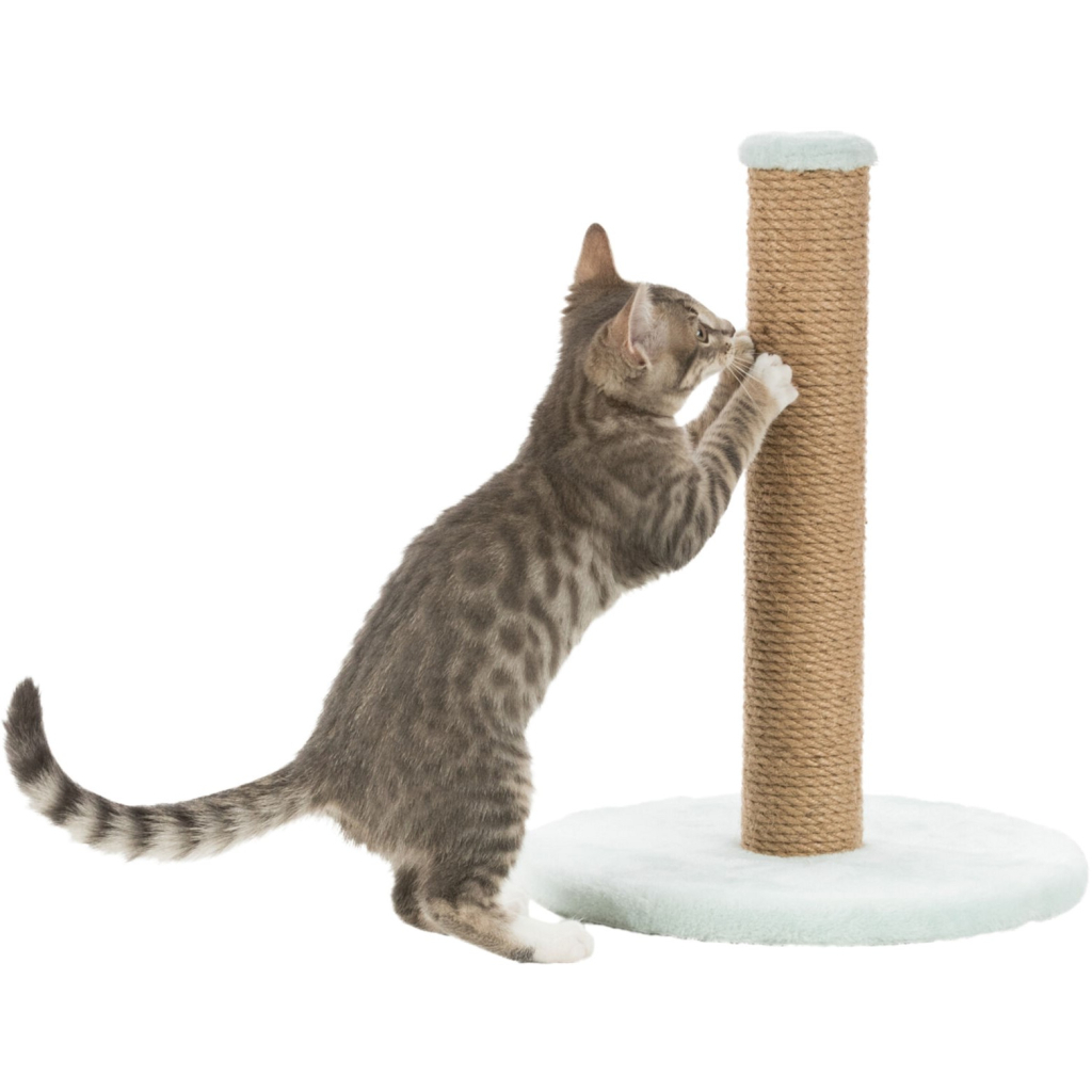 Дряпка (кігтеточка) для котів Trixie Junior Стовпчик 30х42 см м'ятна (4011905429328) - зображення 5