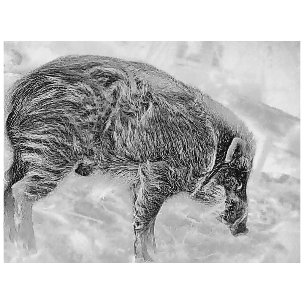 Монокуляр Guide тепловізійний TD431 LRF 2.6-10.4x35 384x28812m. 1800 м з далекоміром 600 м (TD431LRF) - зображення 6