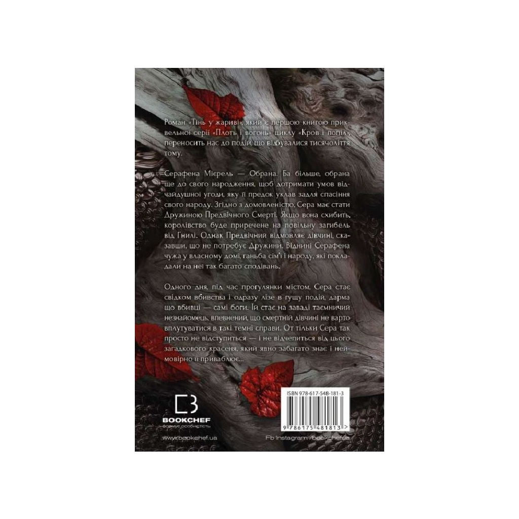 Книга Плоть і вогонь. Книга 1: Тінь у жариві - Дженніфер Л. Арментраут BookChef (9786175481813) - зображення 3