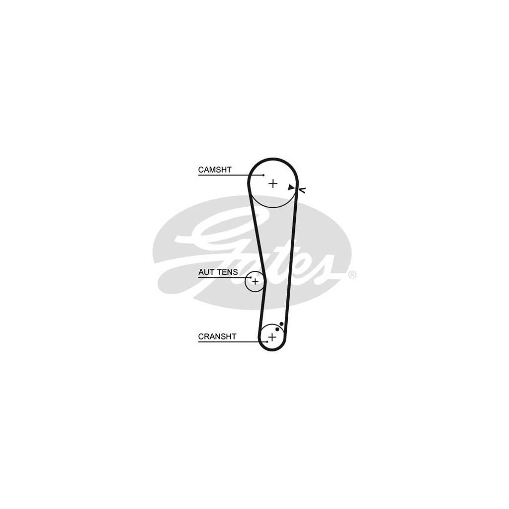 Ремінь ГРМ Gates 5568XS - зображення 1