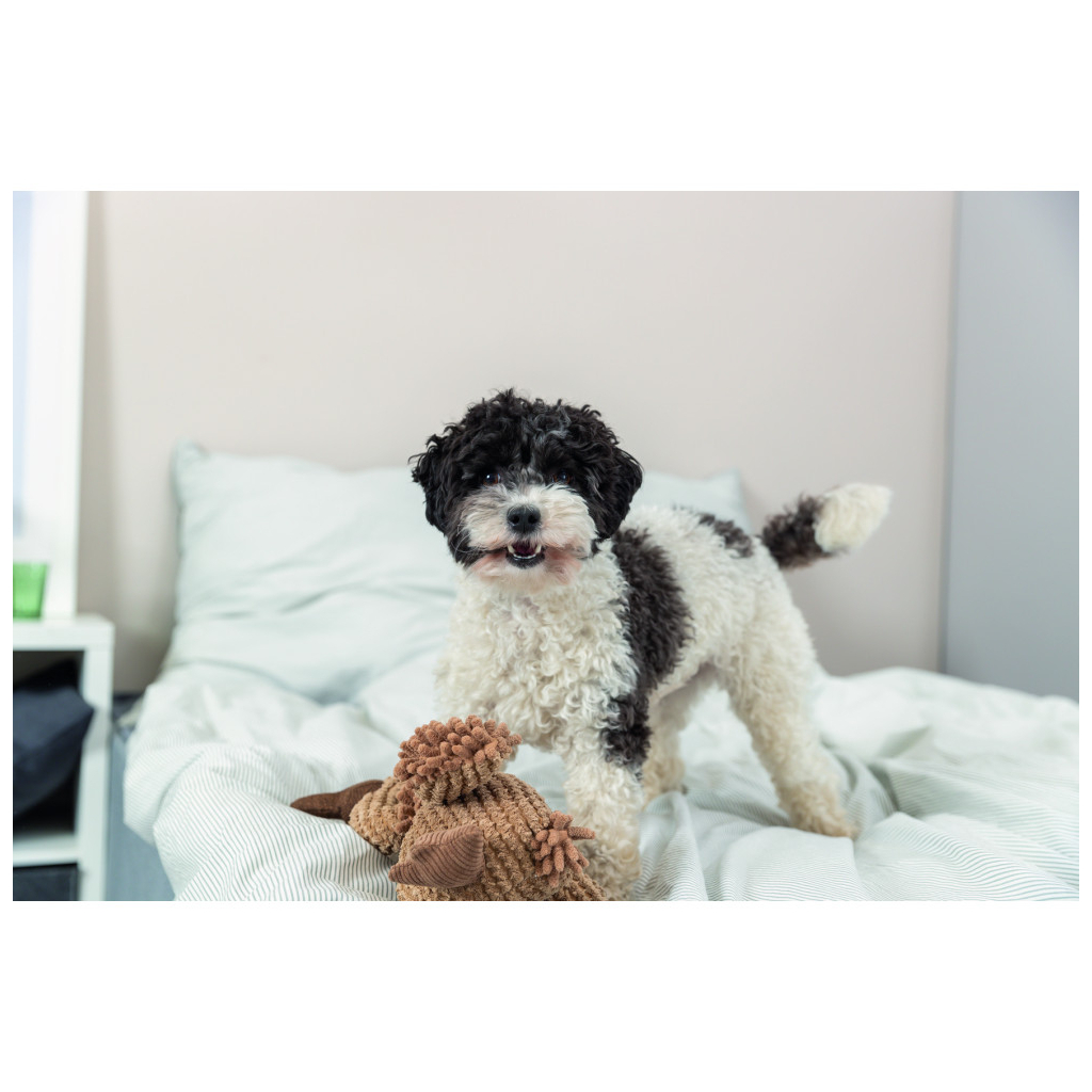 Іграшка для собак Trixie Гриф Густав Тканина і плюш 28 см (4011905359311) - изображение 4