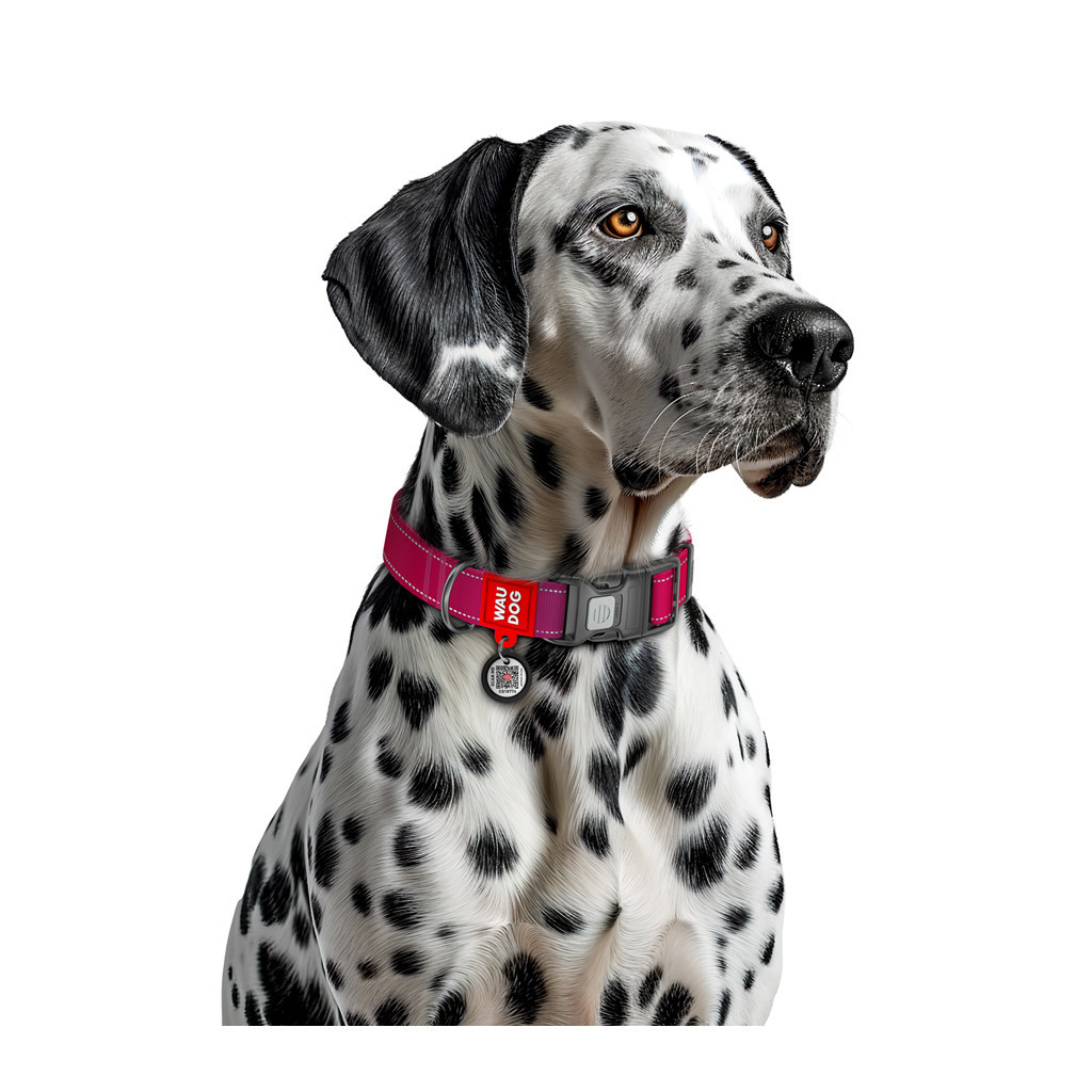 Нашийник для тварин WAUDOG Nylon Mono з QR паспортом, пластиковий фастекс XL рожевий (52167) - зображення 4