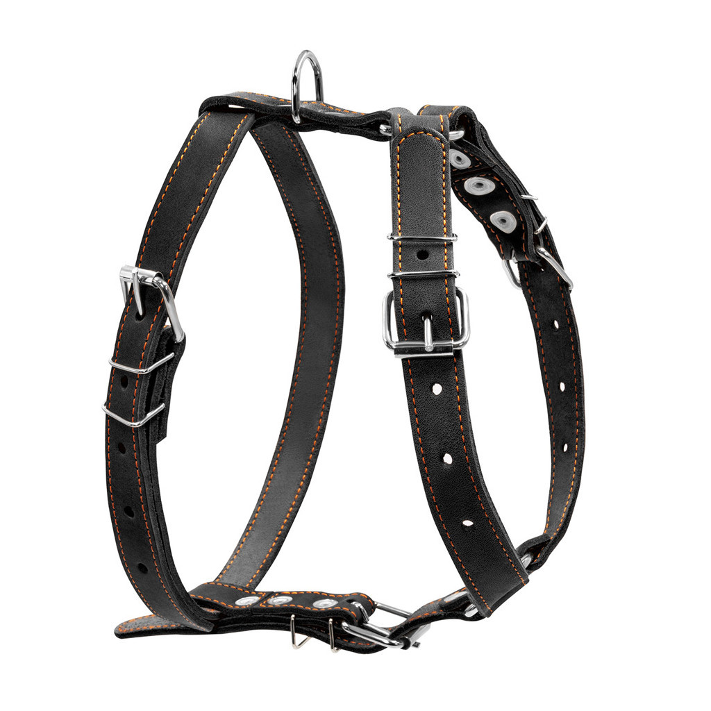 Шлея для собак Collar одинарна для середніх порід Ш 25 мм А:49-68 см В:68-80 см чорна (06381) - зображення 1