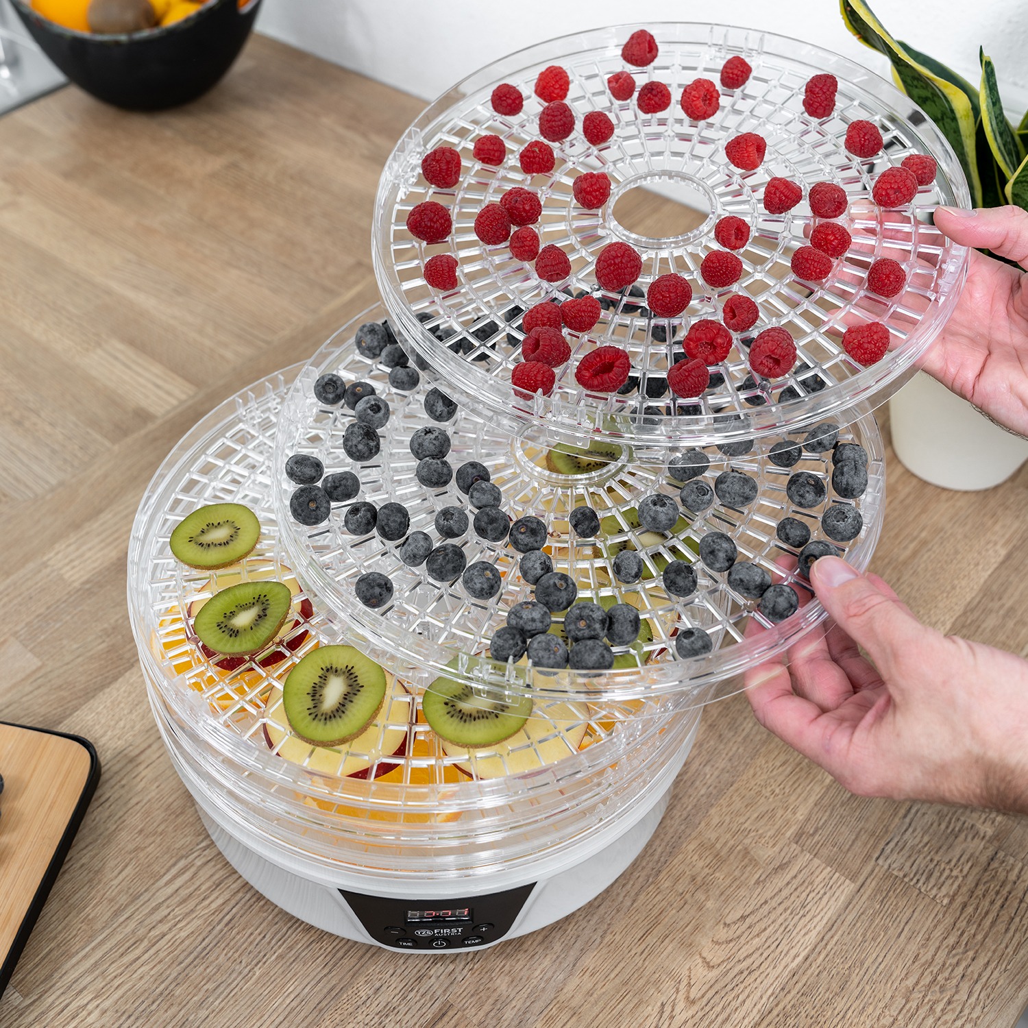 Сушарка First FA-5126-8 - зображення 5